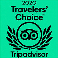 Trip advisor 2020
